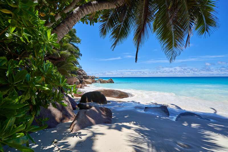  Seychelles digital nomad visa
